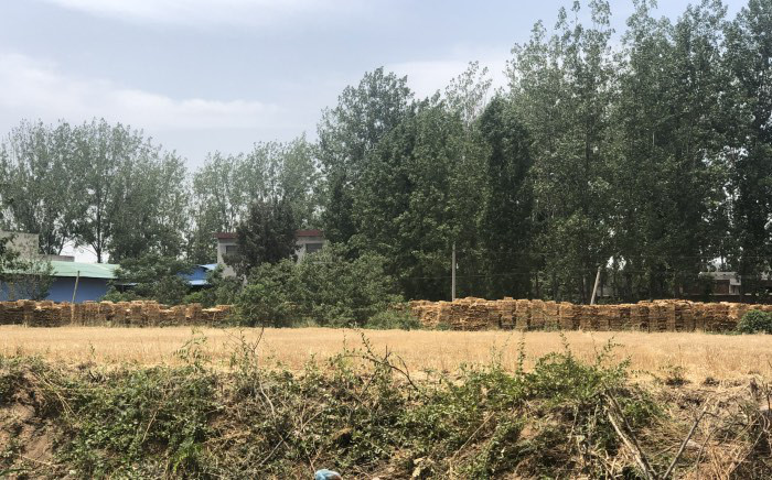 河南禹州花石镇：一无证板材厂 违法生产 污染环境 消防安全缺失 谁来监管禹州卡盟？