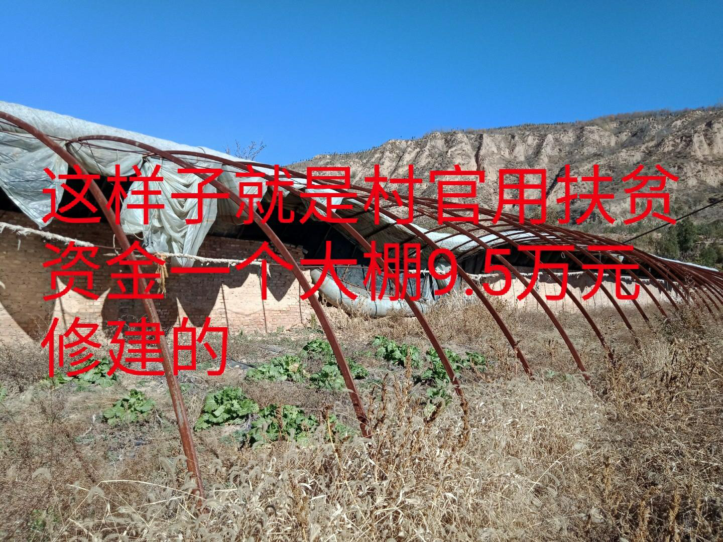 贪污国家扶贫资金180.5万元的村官私自建造不达国家标准