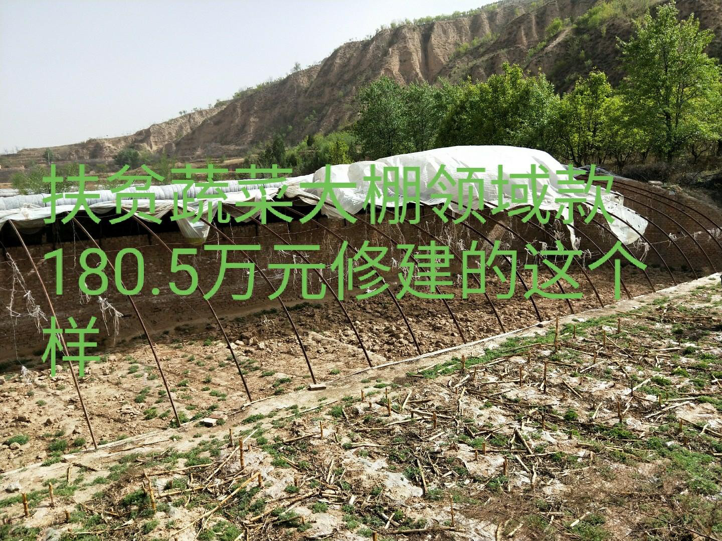 贪污国家扶贫资金180.5万元的村官私自建造不达国家标准