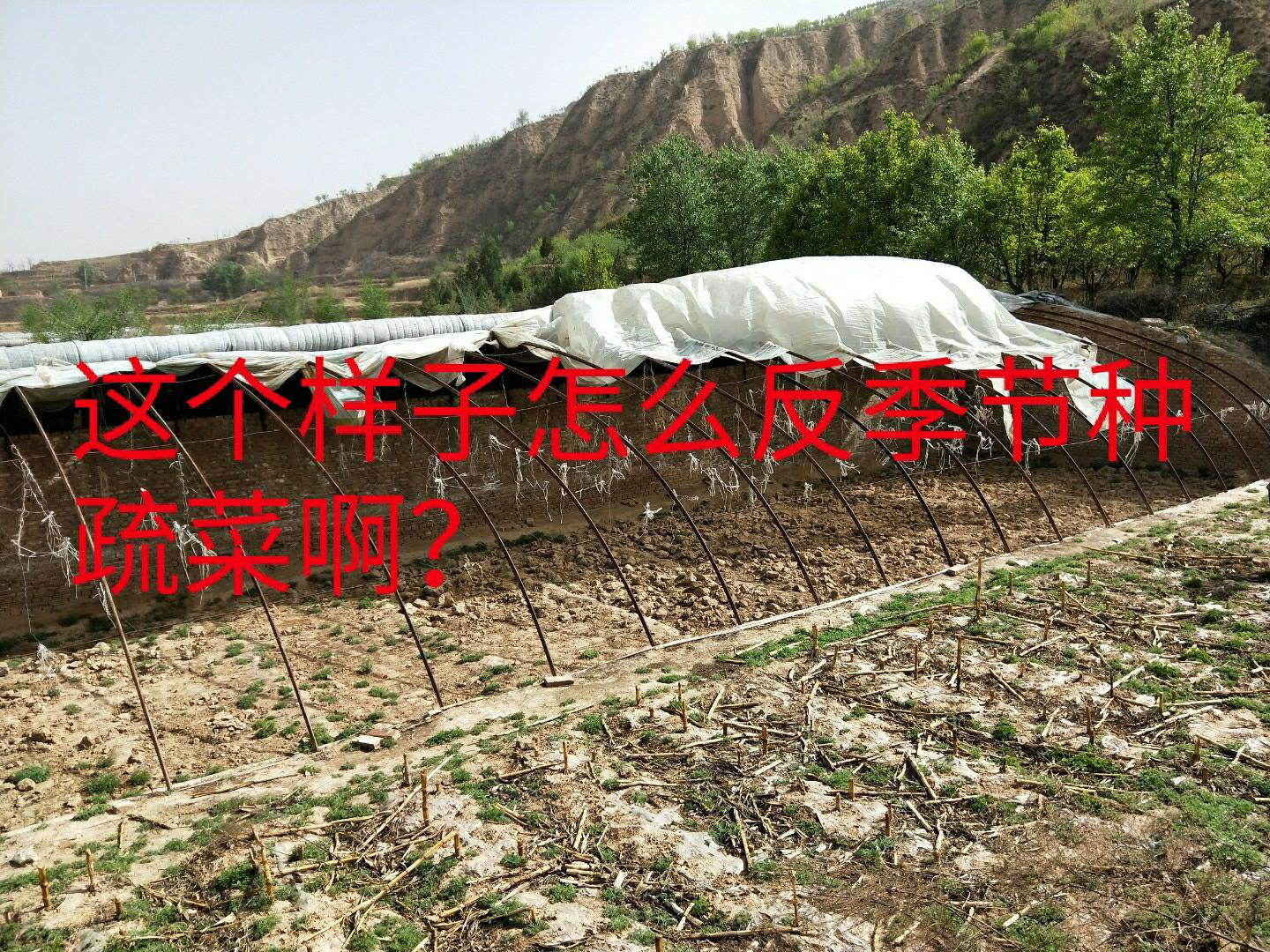 贪污国家扶贫资金180.5万元的村官私自建造不达国家标准