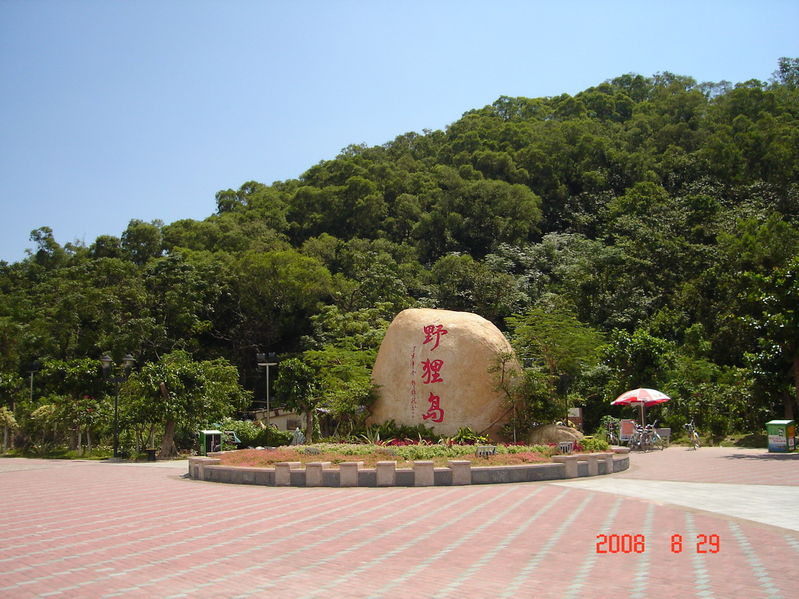 野狸岛记:东袋狸