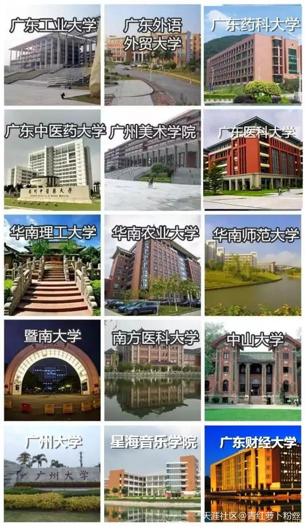 粤有料｜广州凭什么再次入选“最幸福”城市郑佳欣？这些理由你服气吗