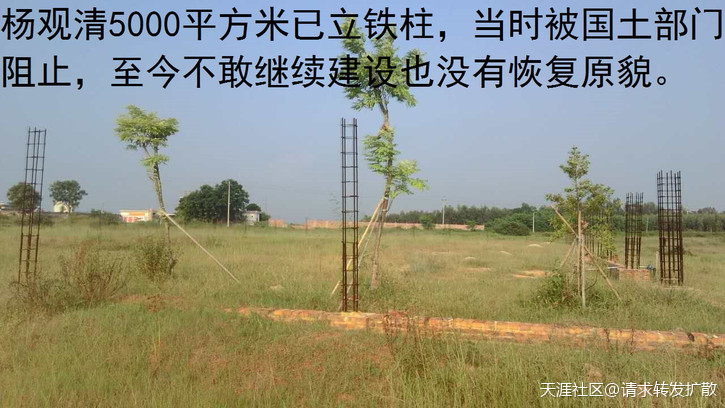广东吴川钟毓山村逾500亩耕地陆续被破坏超过20年钟毓，一直投诉无门！