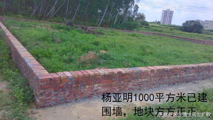 广东吴川钟毓山村逾500亩耕地陆续被破坏超过20年钟毓，一直投诉无门！