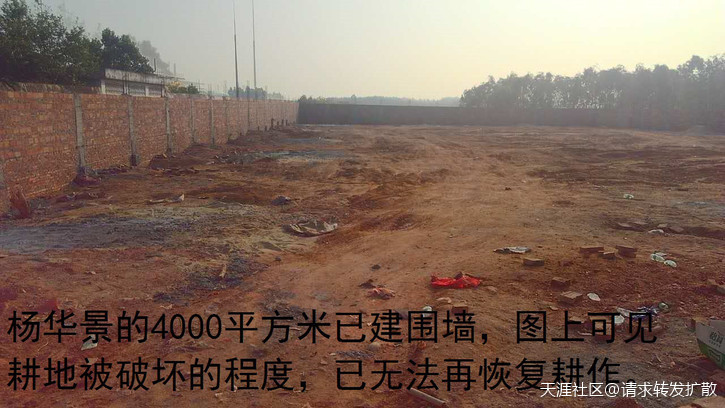 广东吴川钟毓山村逾500亩耕地陆续被破坏超过20年钟毓，一直投诉无门！