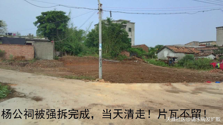 广东吴川钟毓山村逾500亩耕地陆续被破坏超过20年钟毓，一直投诉无门！