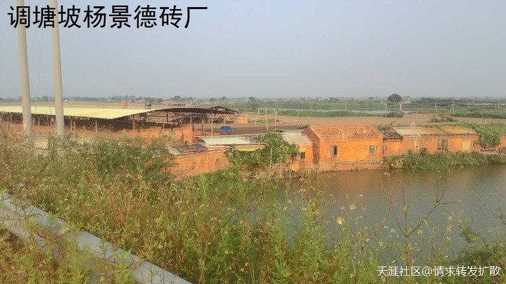 广东吴川钟毓山村逾500亩耕地陆续被破坏超过20年钟毓，一直投诉无门！