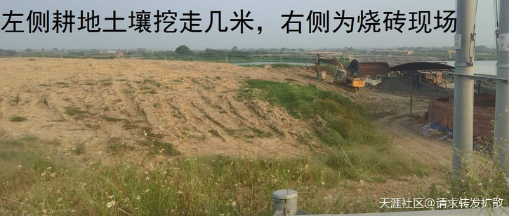 广东吴川钟毓山村逾500亩耕地陆续被破坏超过20年钟毓，一直投诉无门！