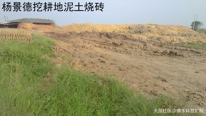 广东吴川钟毓山村逾500亩耕地陆续被破坏超过20年钟毓，一直投诉无门！