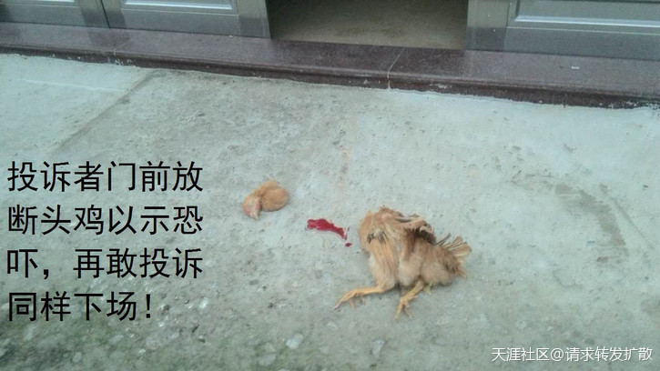 广东吴川钟毓山村逾500亩耕地陆续被破坏超过20年钟毓，一直投诉无门！