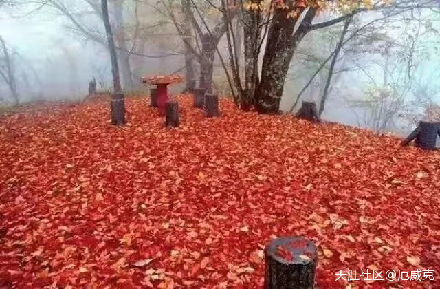 安康两日游：千层河公园和南宫山森林公园是你赏秋的不二选择:南宫熙妍