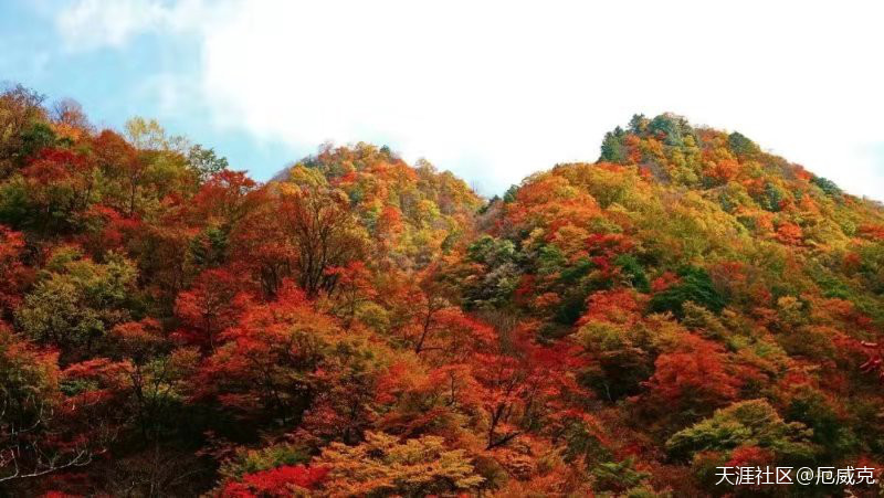 安康两日游：千层河公园和南宫山森林公园是你赏秋的不二选择