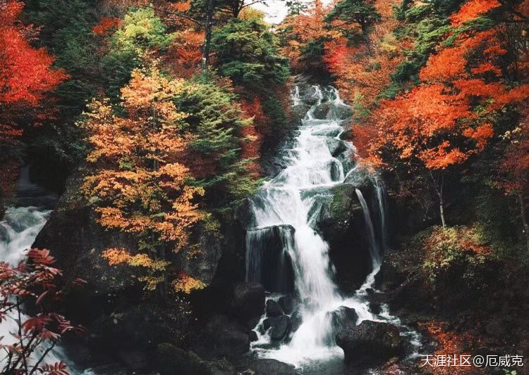 安康两日游：千层河公园和南宫山森林公园是你赏秋的不二选择