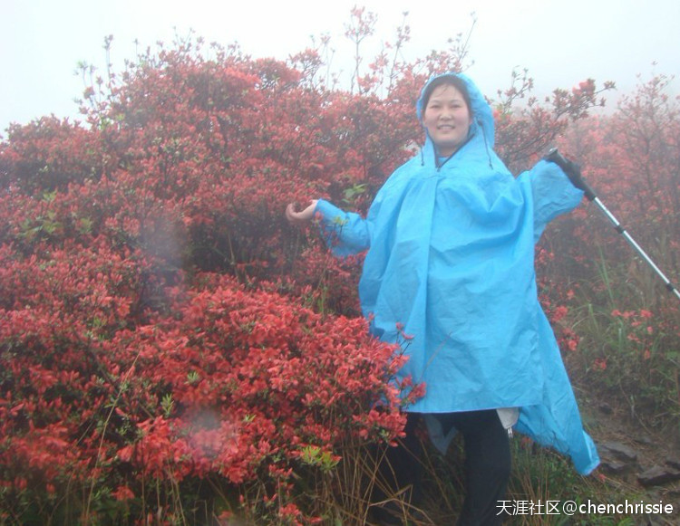 爬通天蜡烛 看漫山杜鹃花（登山 赏花 海拔1047米 从化十登）
