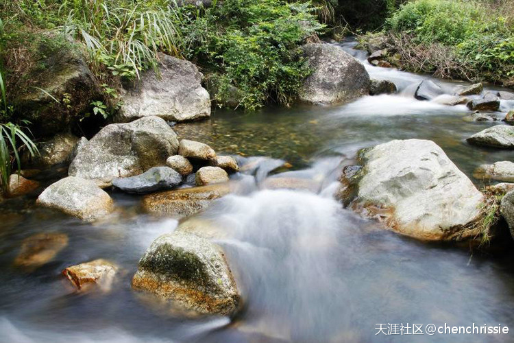 爬通天蜡烛 看漫山杜鹃花（登山 赏花 海拔1047米 从化十登）