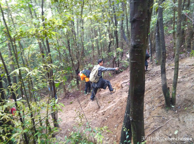 爬通天蜡烛 看漫山杜鹃花（登山 赏花 海拔1047米 从化十登）
