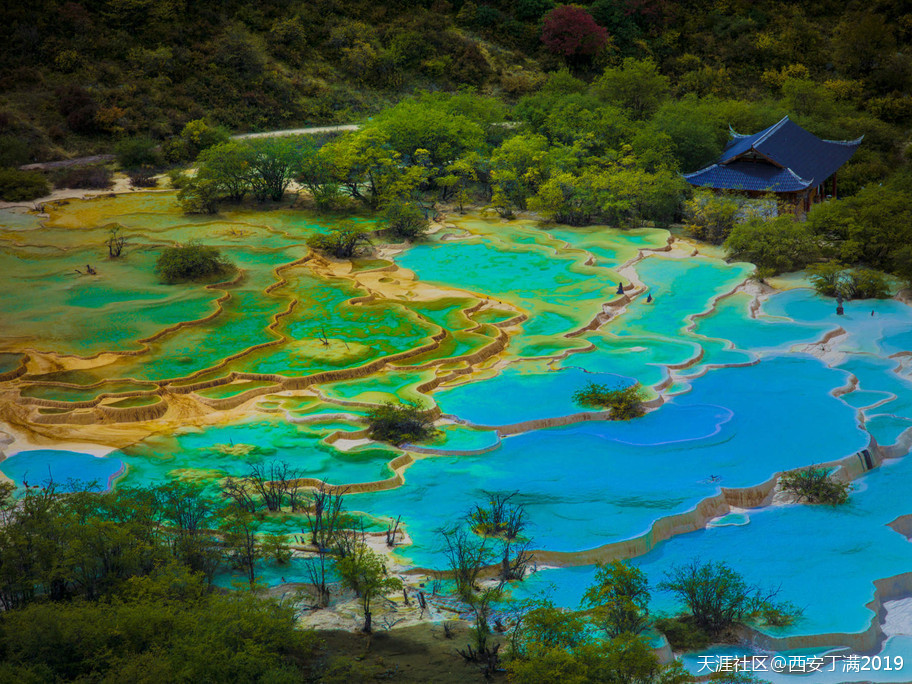 “齐赏瑶池兰花于泳，共话遗产保护”黄龙第四届高山兰花节开幕