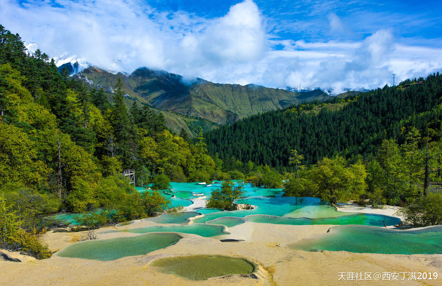 “齐赏瑶池兰花于泳，共话遗产保护”黄龙第四届高山兰花节开幕