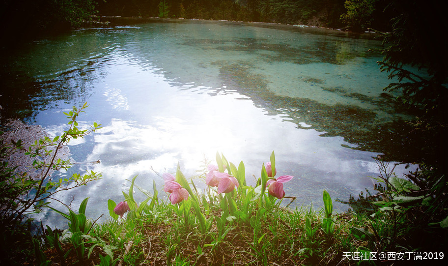 “齐赏瑶池兰花于泳，共话遗产保护”黄龙第四届高山兰花节开幕