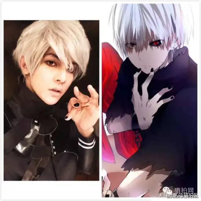 土豪明星们的二次元生活~